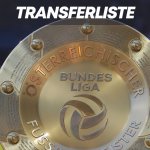 Die Sommer-Transferliste der Bundesliga