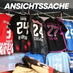 These: Zieht das Hartberg-Trikot aus dem Verkehr!