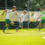 Keine Fixaufsteiger in LigaZwa? Regionalliga-Reform steht an